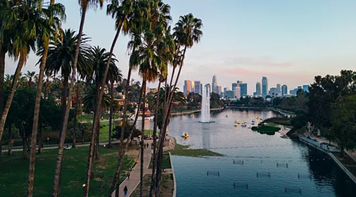 Photo of Los Angeles view with Palm Trees and lake on Gutierrez Law Firm's site, a firm of Oxnard employment lawyers